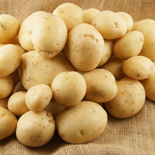 Картофи Sylvana изображение 1 артикул 4831