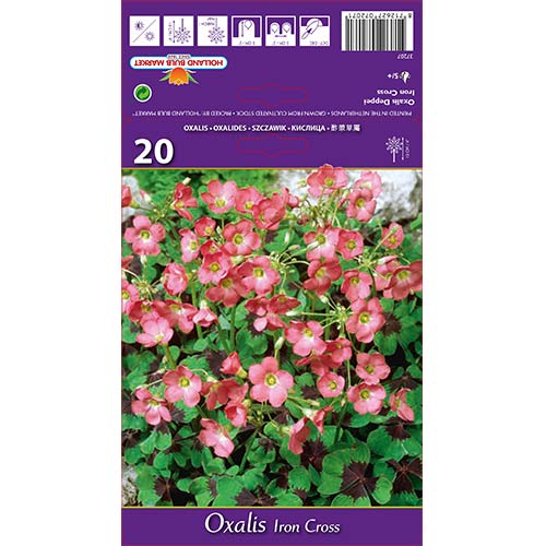 Киселиче Deppei Iron Cross изображение 1 артикул 67671