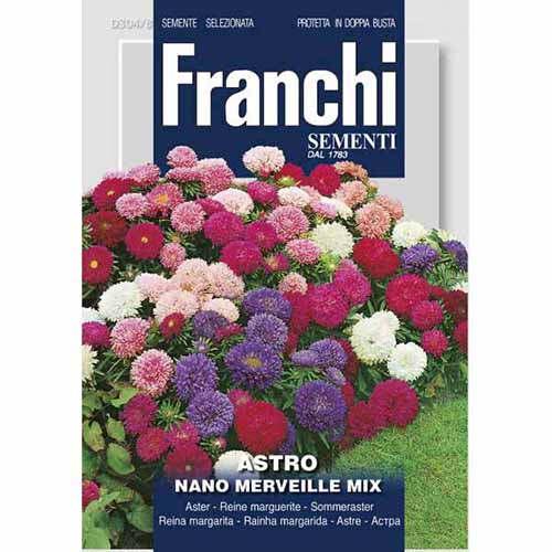 Китайска градинска астра Minune, смес от цветове изображение 1 артикул 87131
