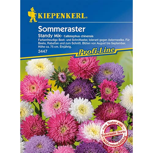 Китайска астра Standy, смес изображение 1 артикул 96573