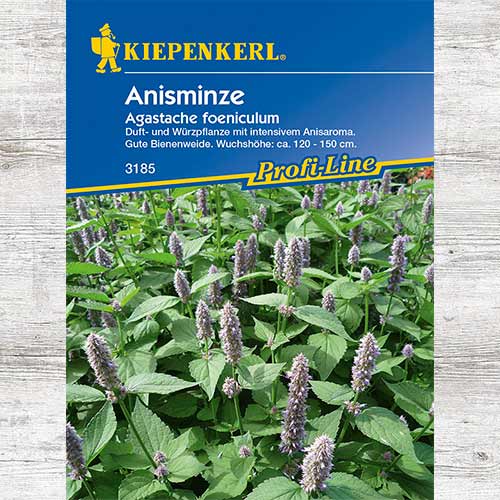 Kłosowiec anyżowy (Agastache) interface.image 1 interface.art 86371