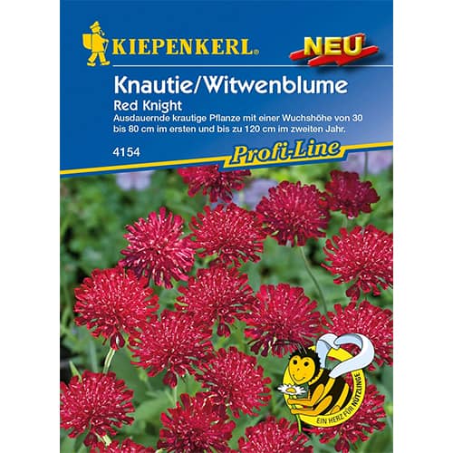 Knautia Red Knight imagine 1 articol 96551