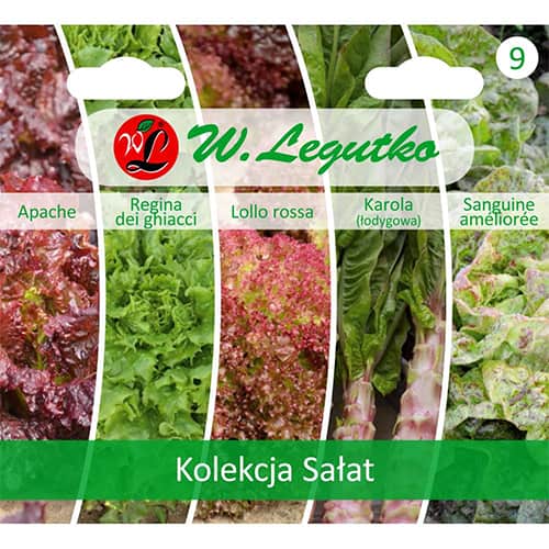 Kolekcja Sałat, 5 odmian interface.image 1 interface.art 96843