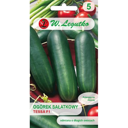 Краставица Tessa F1 изображение 1 артикул 86884