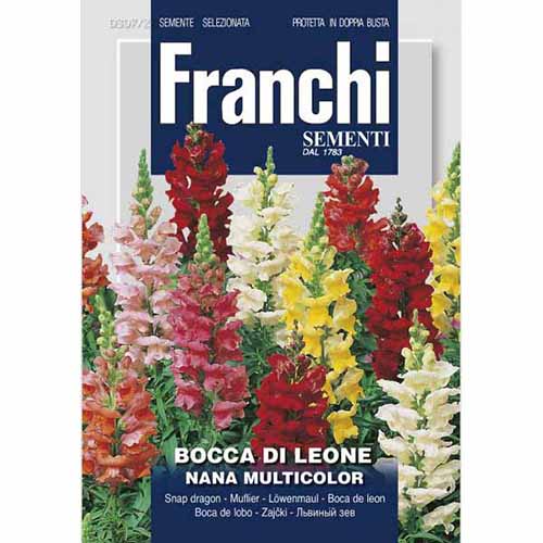 Кученца ниски, смес от цветове изображение 1 артикул 87124