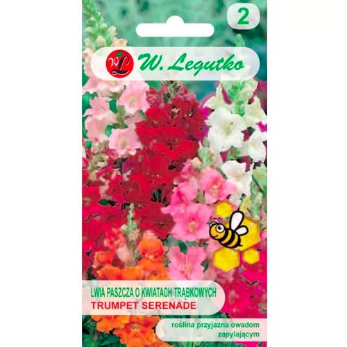 Кученца ниски Trumpet Serenade Legutko изображение 1 артикул 78574