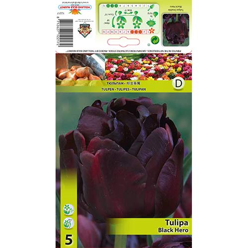 Лале Black Hero изображение 1 артикул 67455