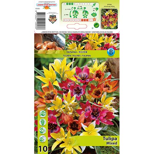 Лале ботаническо, микс изображение 1 артикул 67873