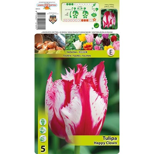 Лале Happy Clown изображение 1 артикул 68398