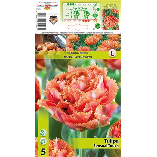 Лале Sensual Touch изображение 1 артикул 67831