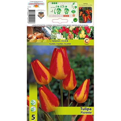 Lalele Florette imagine 1 articol 70305