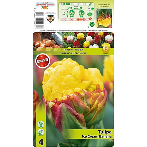 Lalele Ice Cream Banana imagine 1 articol 68402