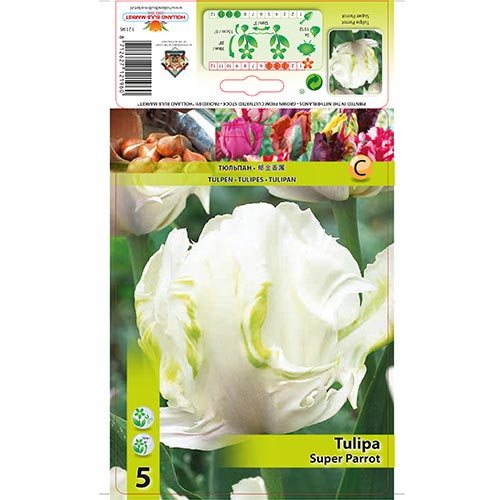 Lalele Super Parrot imagine 1 articol 67802