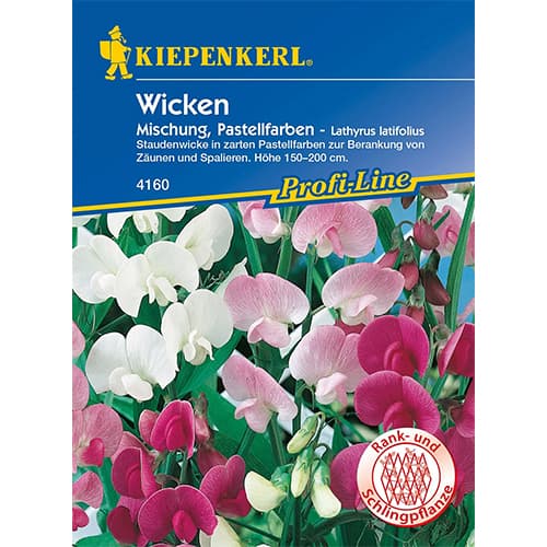 Lathyrus latifolius (Măzăriche) Pastell, mix multicolor imagine 1 articol 77447