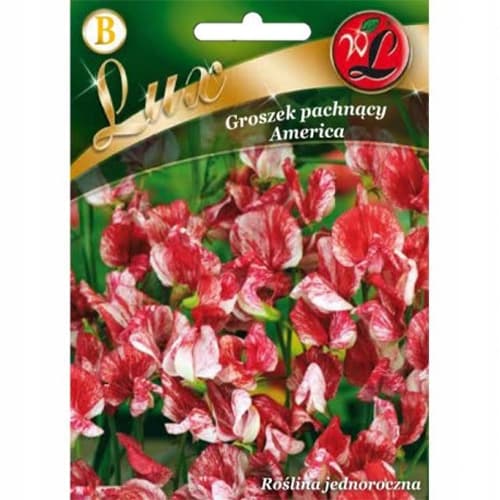 Lathyrus odoratus (Sângele voinicului) America imagine 1 articol 86746