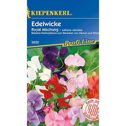 Lathyrus odoratus (Sângele voinicului) Royal, mix multicolor Kiepenkerl imagine 1 articol 86263