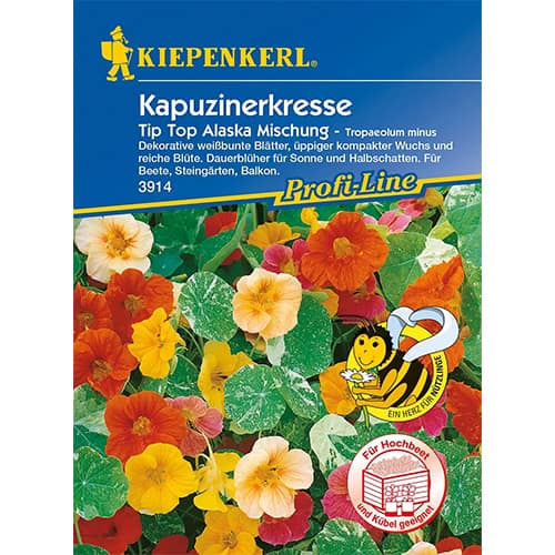 Латинка Tip-Top Alaska изображение 1 артикул 86278