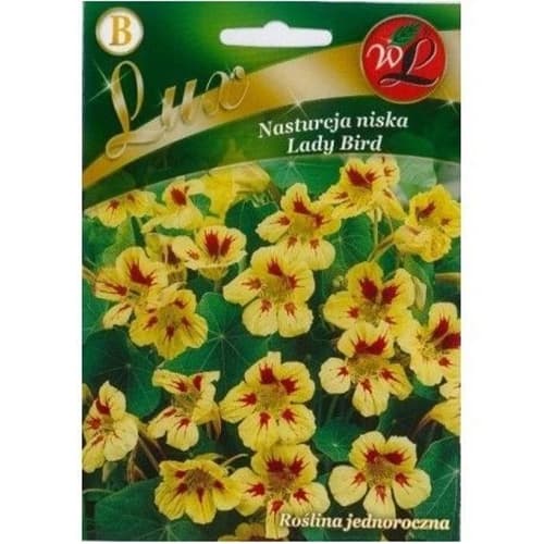 Латинка ниска Lady Bird изображение 1 артикул 86751