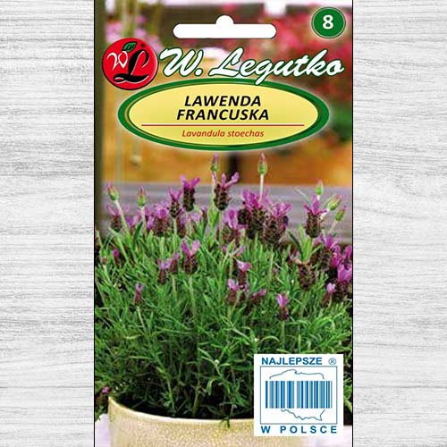 Lavandă franțuzească Legutko imagine 1 articol 78606