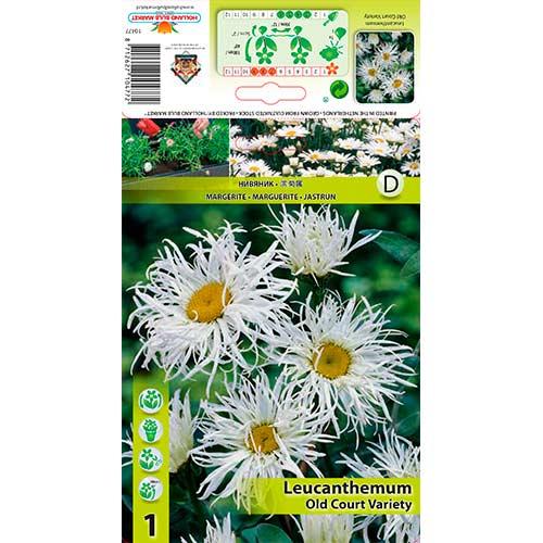 Маргаритка Old Court Variety изображение 1 артикул 76613