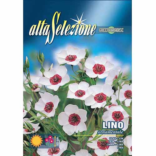 Лен едроцветен декоративен изображение 1 артикул 96347
