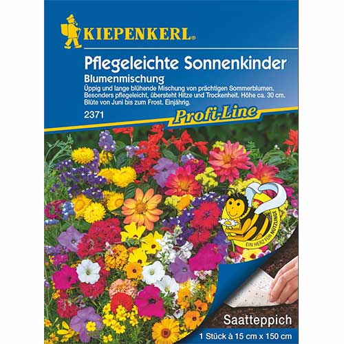 Летни цветя Pflegeleichte Sonnenkinder, семенно платно изображение 1 артикул 96564