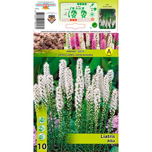 Лиатрис Spicata Alba изображение 1 артикул 76301