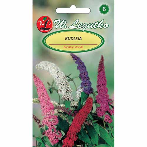 Liliac de vară, mix multicolor imagine 1 articol 96766