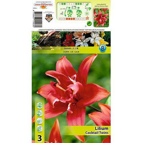 Лилиум Cocktail Twins изображение 1 артикул 70426