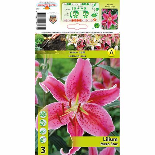 Лилиум източен Mero Star изображение 1 артикул 76315