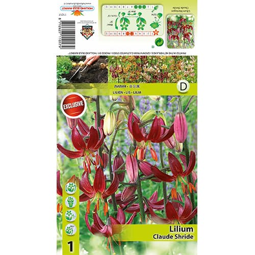 Лилия Claude Shride изображение 1 артикул 77822