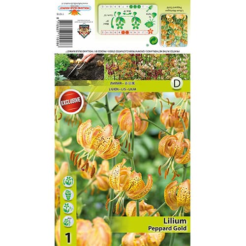 Лилия Peppart Gold изображение 1 артикул 77823