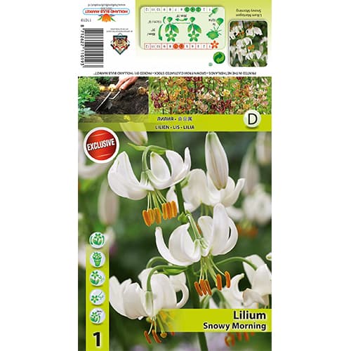 Лилия Snowy Morning изображение 1 артикул 77824
