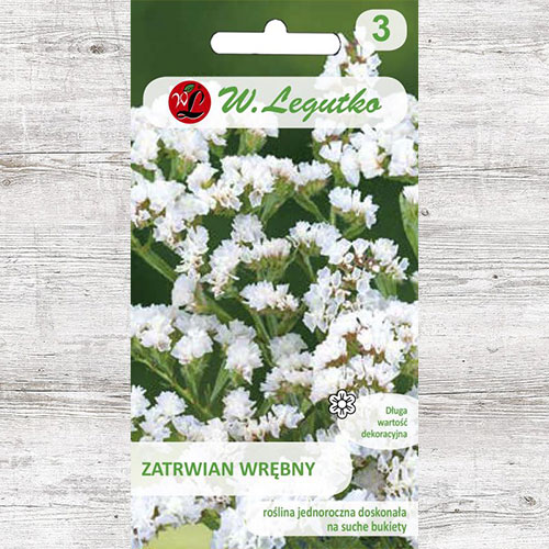 Limonium sinuatum (Sărăturică) alb Legutko imagine 1 articol 87093