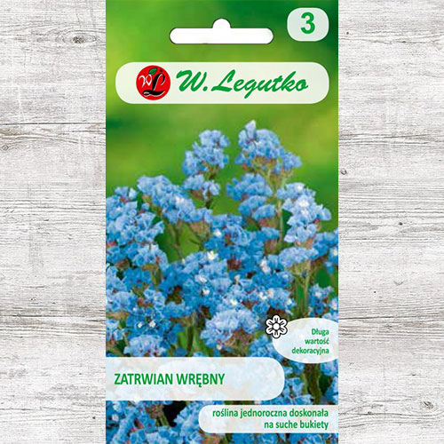 Limonium sinuatum (Sărăturică) albastru Legutko imagine 1 articol 87098