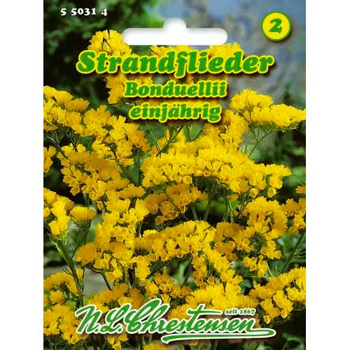 Limonium sinuatum (Sărăturică) Bonduellii Chrestensen imagine 1 articol 50031