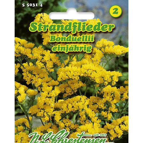 Limonium sinuatum (Sărăturică), Bonduellii Chrestensen imagine 1 articol 86164