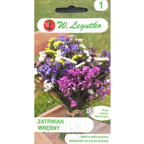 Limonium sinuatum (Sărăturică) mix multicolor Legutko imagine 1 articol 87100