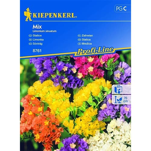 Limonium sinuatum (Sărăturică) mix multicolor imagine 1 articol 96559