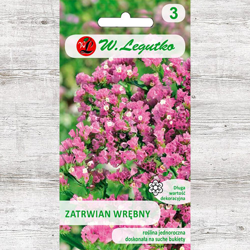 Limonium sinuatum (Sărăturică) roz Legutko imagine 1 articol 87096