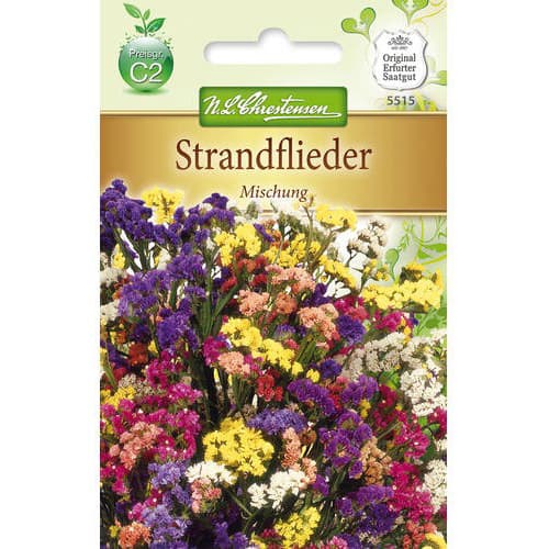 Limonium sinuatum (Sărăturică), mix multicolor imagine 1 articol 78979