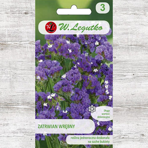 Limonium sinuatum (Sărăturică violet Legutko imagine 1 articol 87099