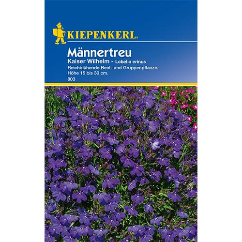 Lobelia Kaiser Wilhem imagine 1 articol 77421