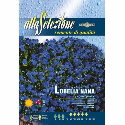 Lobelia pitică Palatul de cleștar imagine 1 articol 96349