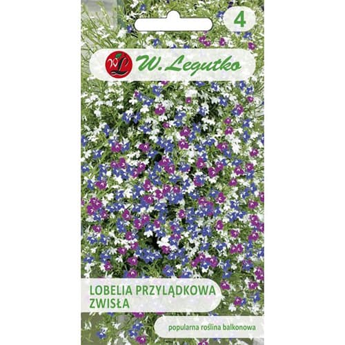 Lobelia zwisła, mix kolorow interface.image 1 interface.art 78623