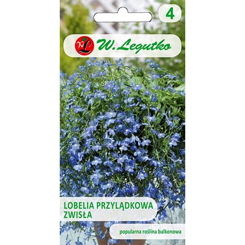 Lobelia zwisła niebieska interface.image 1 interface.art 69599