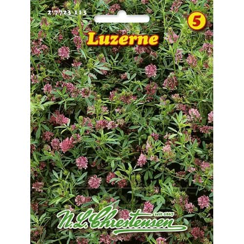 Lucernă imagine 1 articol 96482