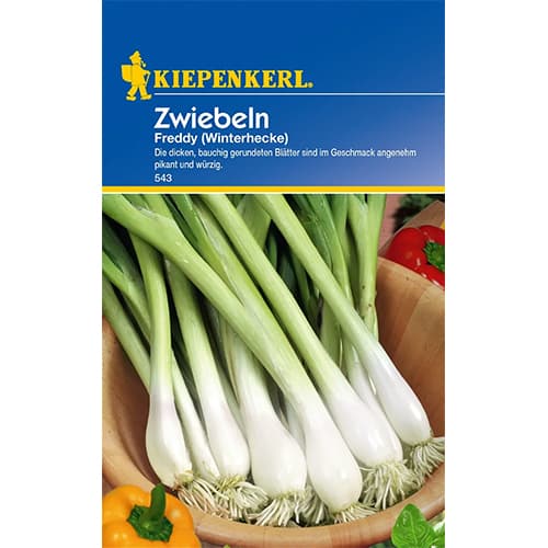 Лук Freddy Winterhecke изображение 1 артикул 77460