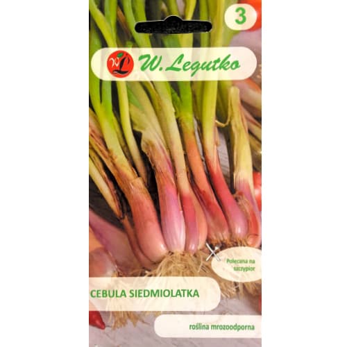 Лук зелен Winter Nest изображение 1 артикул 78451