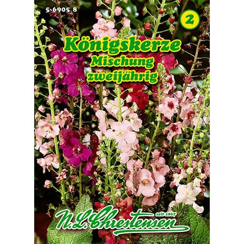 Lumânărică (Verbascum phoeniceum) mix multicolor imagine 1 articol 87819